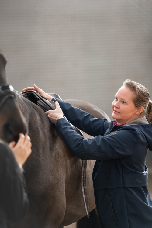 02 consult paarden consult